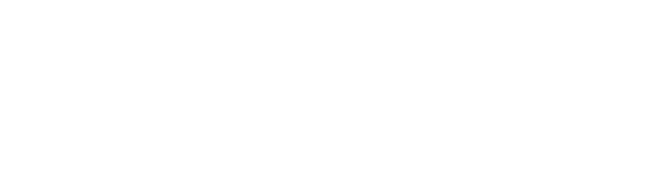 FynnCorp Capital Group